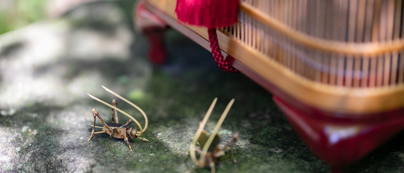 有限会社みやび行燈製作所